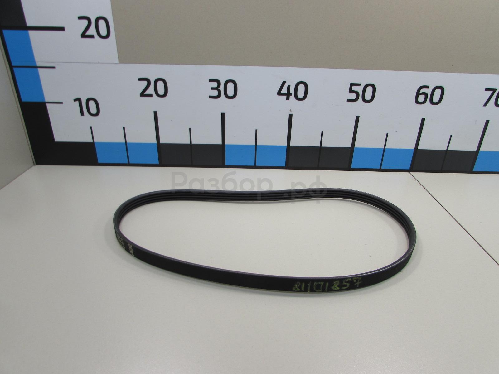 Ремень ручейковый