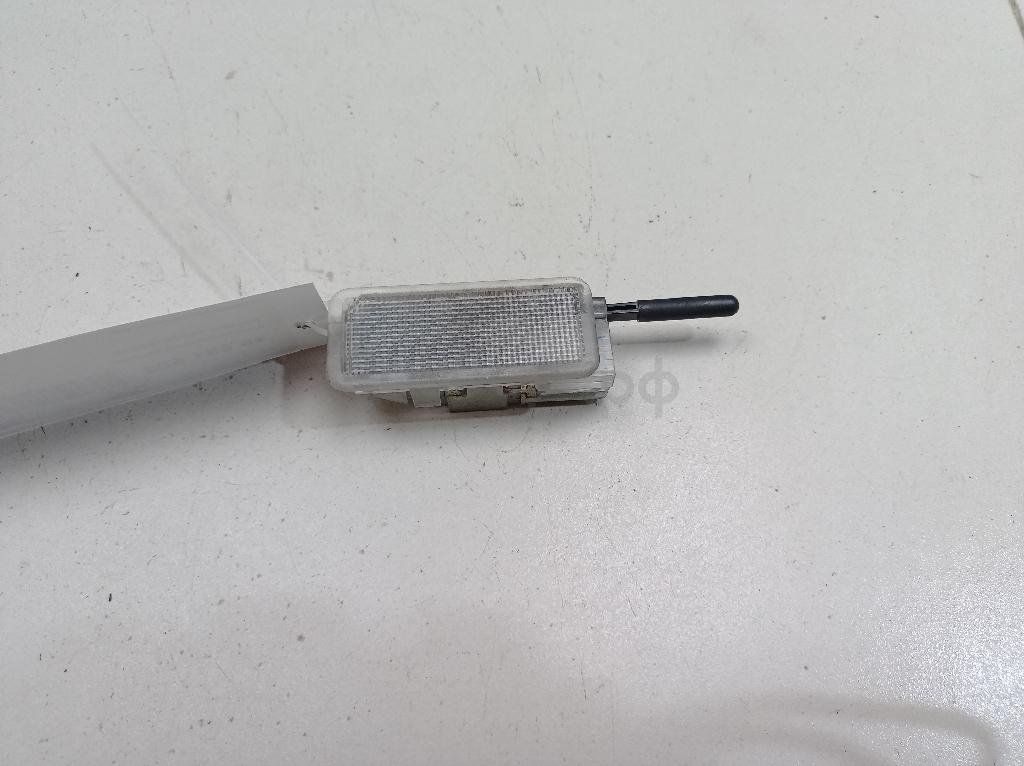 Плафон салонный