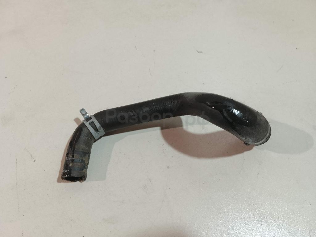 Шланг системы охлаждения